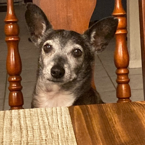 HANDMADE SHARE SHOW. DO NOT BID - Picture 8 of 14